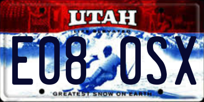UT license plate E080SX