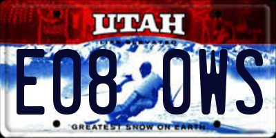 UT license plate E080WS