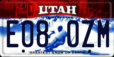 UT license plate E080ZM