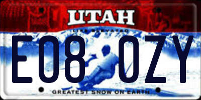 UT license plate E080ZY