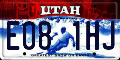 UT license plate E081HJ