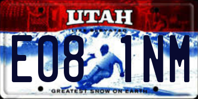 UT license plate E081NM