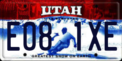 UT license plate E081XE
