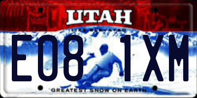 UT license plate E081XM