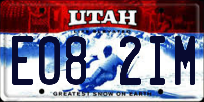 UT license plate E082IM