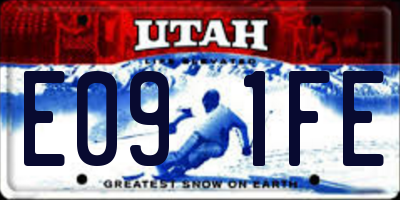UT license plate E091FE