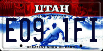 UT license plate E091FI