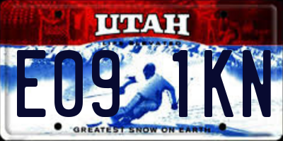 UT license plate E091KN