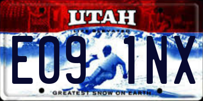 UT license plate E091NX