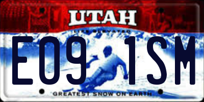UT license plate E091SM