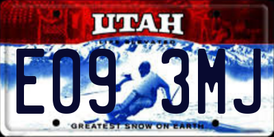 UT license plate E093MJ