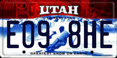 UT license plate E098HE