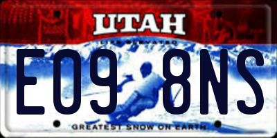 UT license plate E098NS