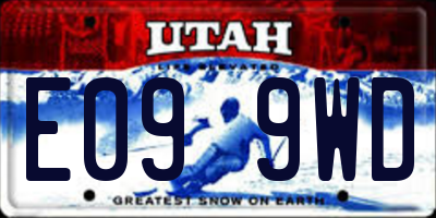 UT license plate E099WD