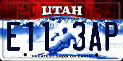 UT license plate E113AP