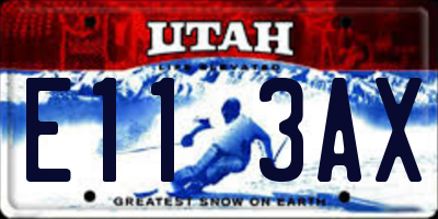 UT license plate E113AX