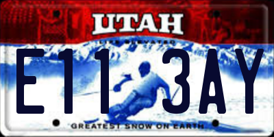 UT license plate E113AY