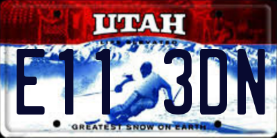 UT license plate E113DN