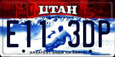 UT license plate E113DP