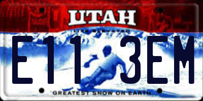 UT license plate E113EM