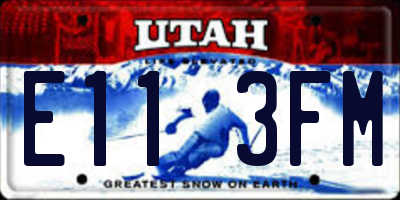 UT license plate E113FM