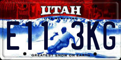 UT license plate E113KG