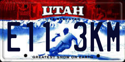 UT license plate E113KM