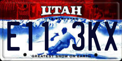UT license plate E113KX