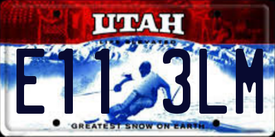 UT license plate E113LM