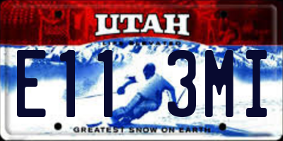 UT license plate E113MI