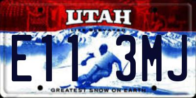 UT license plate E113MJ