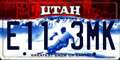 UT license plate E113MK