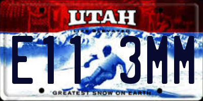 UT license plate E113MM
