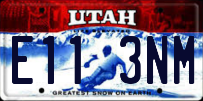 UT license plate E113NM