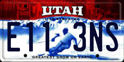 UT license plate E113NS