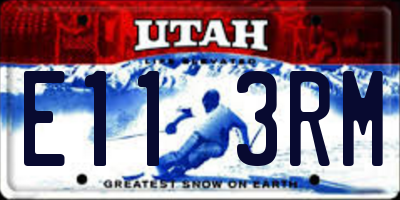 UT license plate E113RM