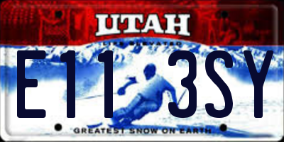 UT license plate E113SY