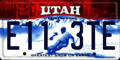 UT license plate E113TE
