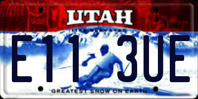 UT license plate E113UE