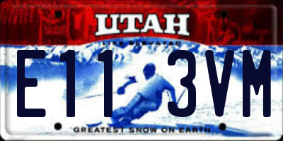 UT license plate E113VM