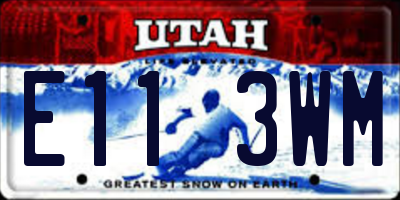 UT license plate E113WM