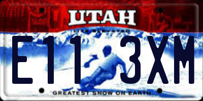 UT license plate E113XM