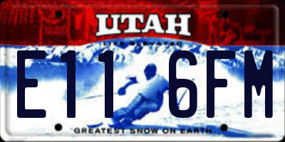 UT license plate E116FM