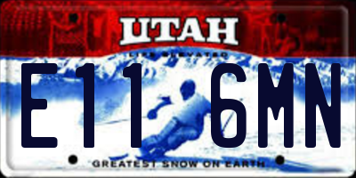 UT license plate E116MN