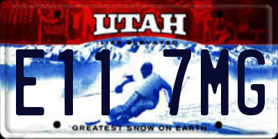 UT license plate E117MG
