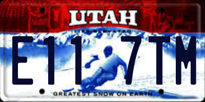 UT license plate E117TM