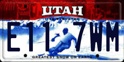 UT license plate E117WM