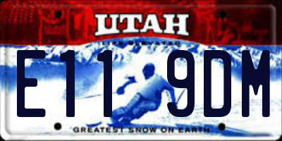 UT license plate E119DM