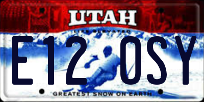 UT license plate E120SY