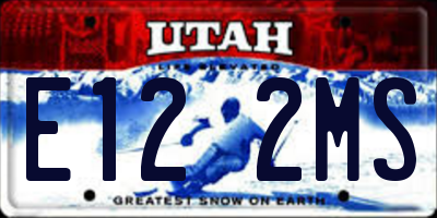 UT license plate E122MS